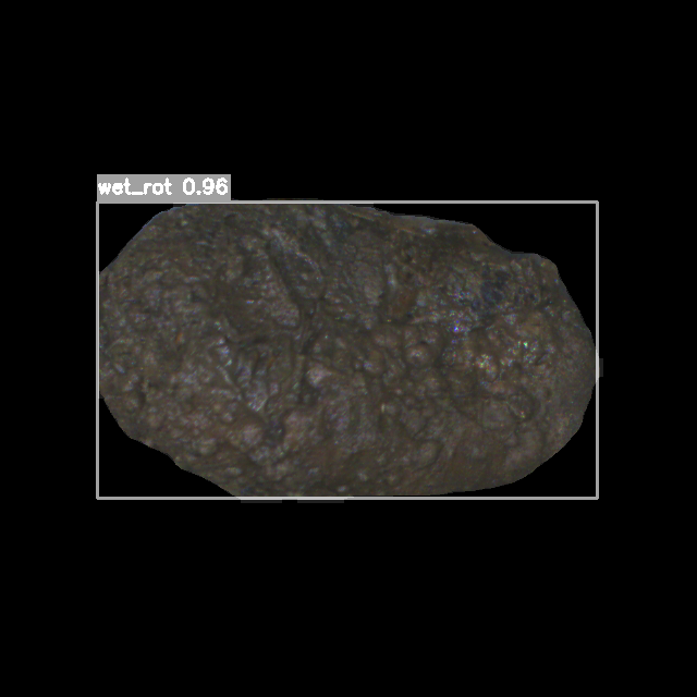 wet_rot